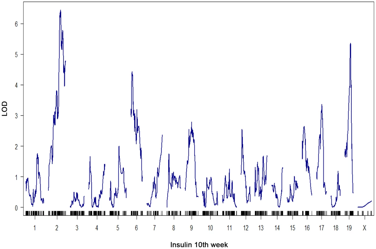Genome-wide linkage profile for plasma insulin at 10-week-old BTBRx B6 <i>ob/ob</i> F2 male mice.