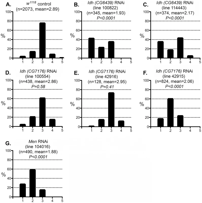 Effect of IDH and MEN reduction on the CryAB<sup>R120G</sup> phenotype.