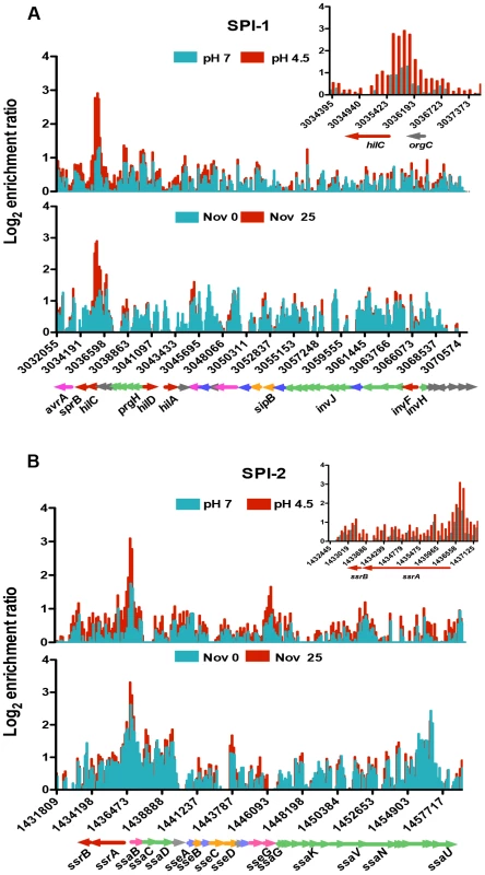 The effect of pH and DNA relaxation on OmpR binding across <i>Salmonella</i> pathogenicity islands 1 and 2 (SPI-1 and SPI-2).