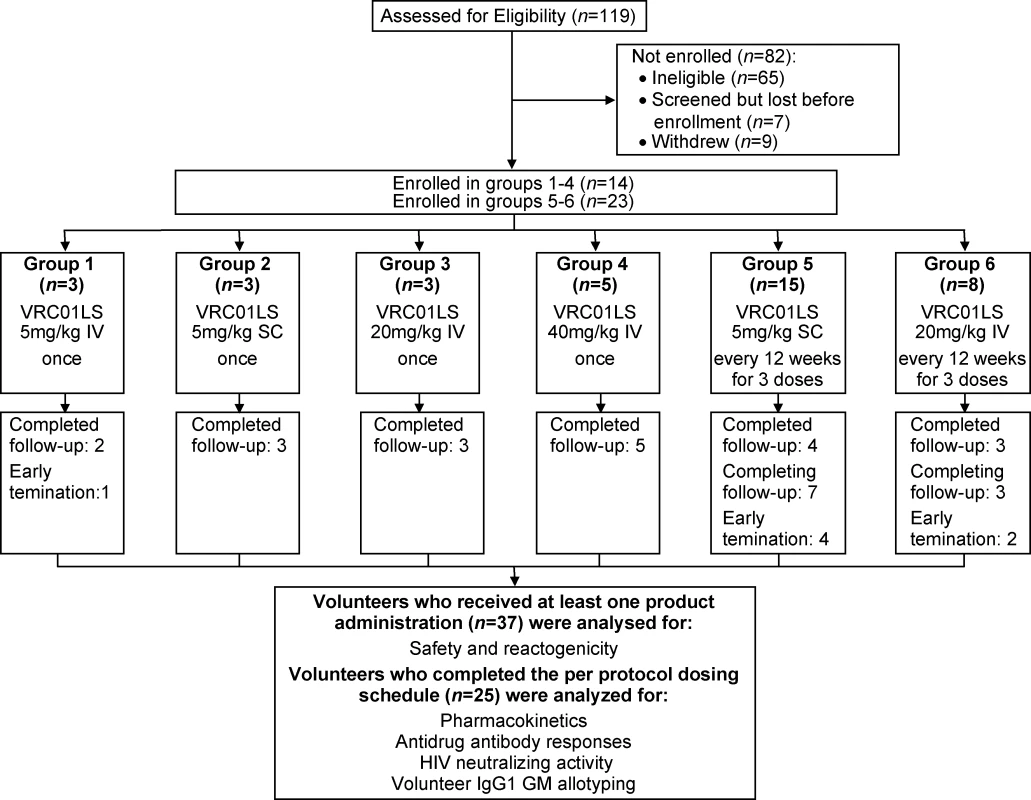 CONSORT flow diagram of the VRC 606 trial.