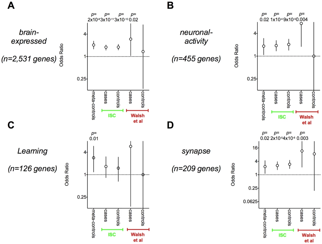 Neurodevelopmental gene sets are enriched in CNVs for affected and unaffected individuals.