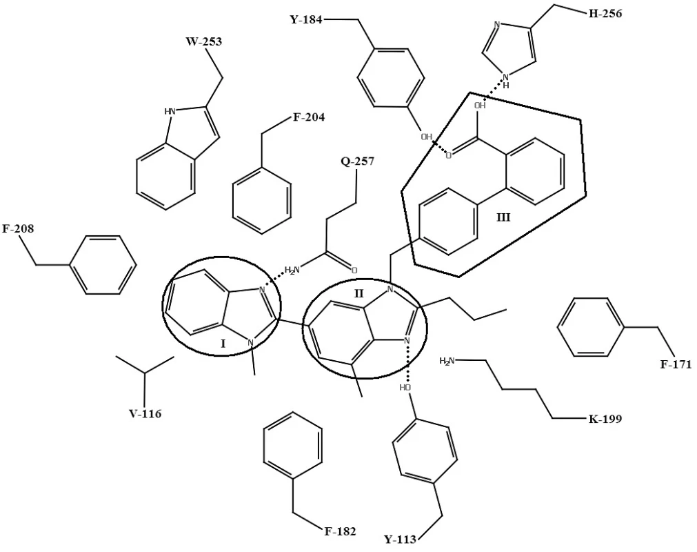 Schéma väzby telmisartanu s aktívnym miestom AT<sub>1</sub> receptora
