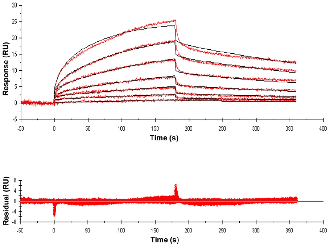 Sensorgrams of a compound with relatively high binding affinity for ED-PknB.