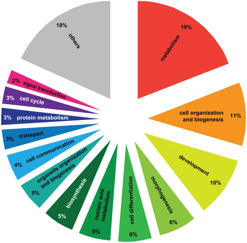 Gene Ontology analysis of genes differentially regulated between haplometrotic and pleometrotic queens.