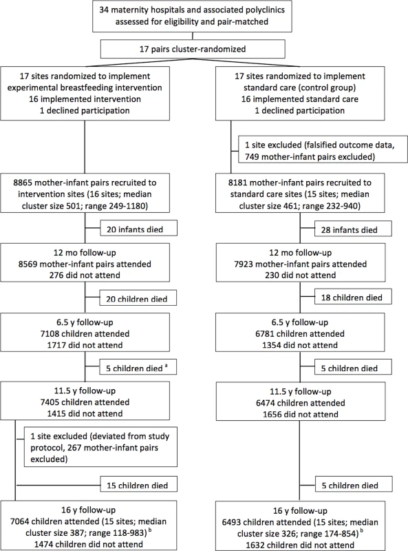 Flow diagram of clusters and participants of PROBIT recruitment follow-up phases at 12 mo, 6.5 y, 11.5 y, and 16 y.