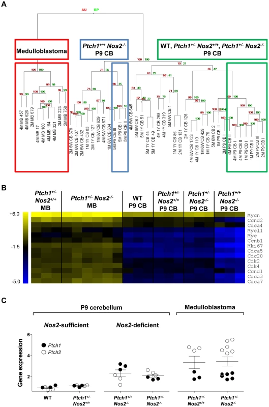 Microarray-based gene expression profiling.