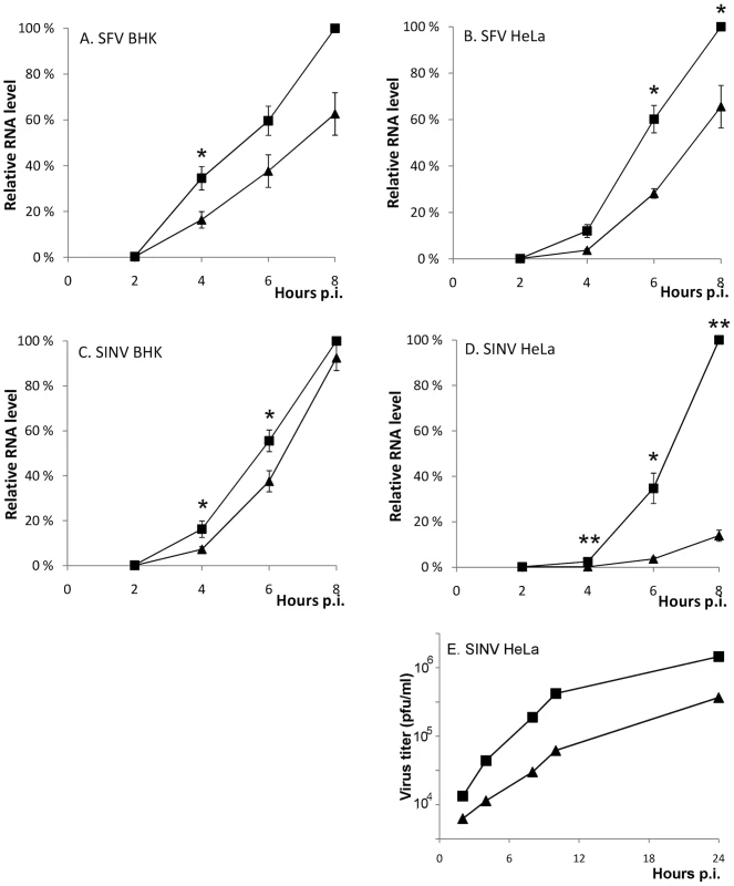 A functional SH3 binding motif in nsP3 is required for optimal SFV and SINV replication.
