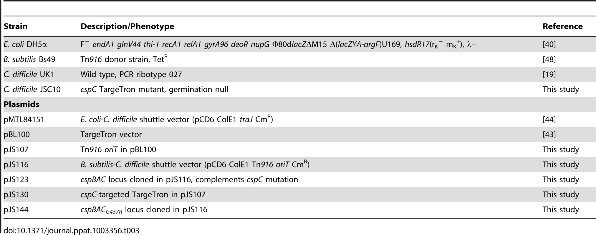 Strains and plasmids used in this study.