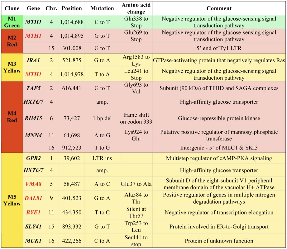 Mutations in adaptive clones M1–M5.