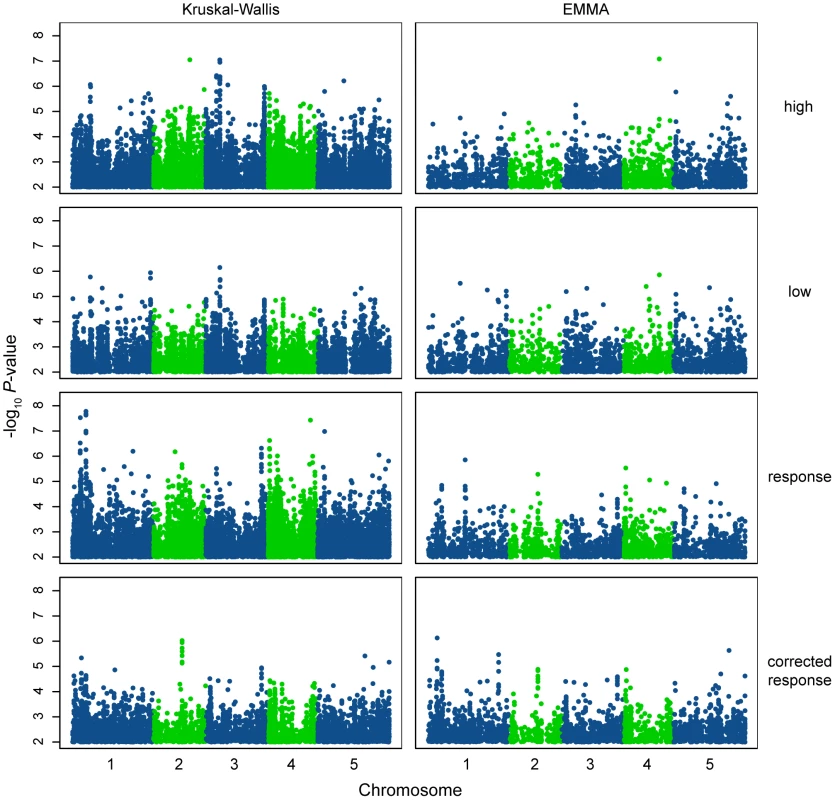 Manhattan plots of GWAS results.