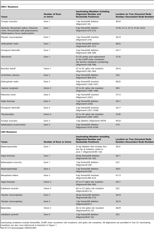 Summary of inactivating mutations in cetacean <i>SWS1</i> and <i>LWS</i> genes.