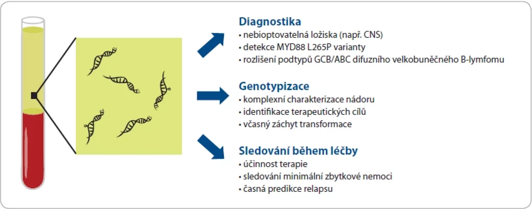 Přehled možností využití analýzy cirkulující volné DNA pro diagnostiku, charakterizaci a monitorování lymfomů.