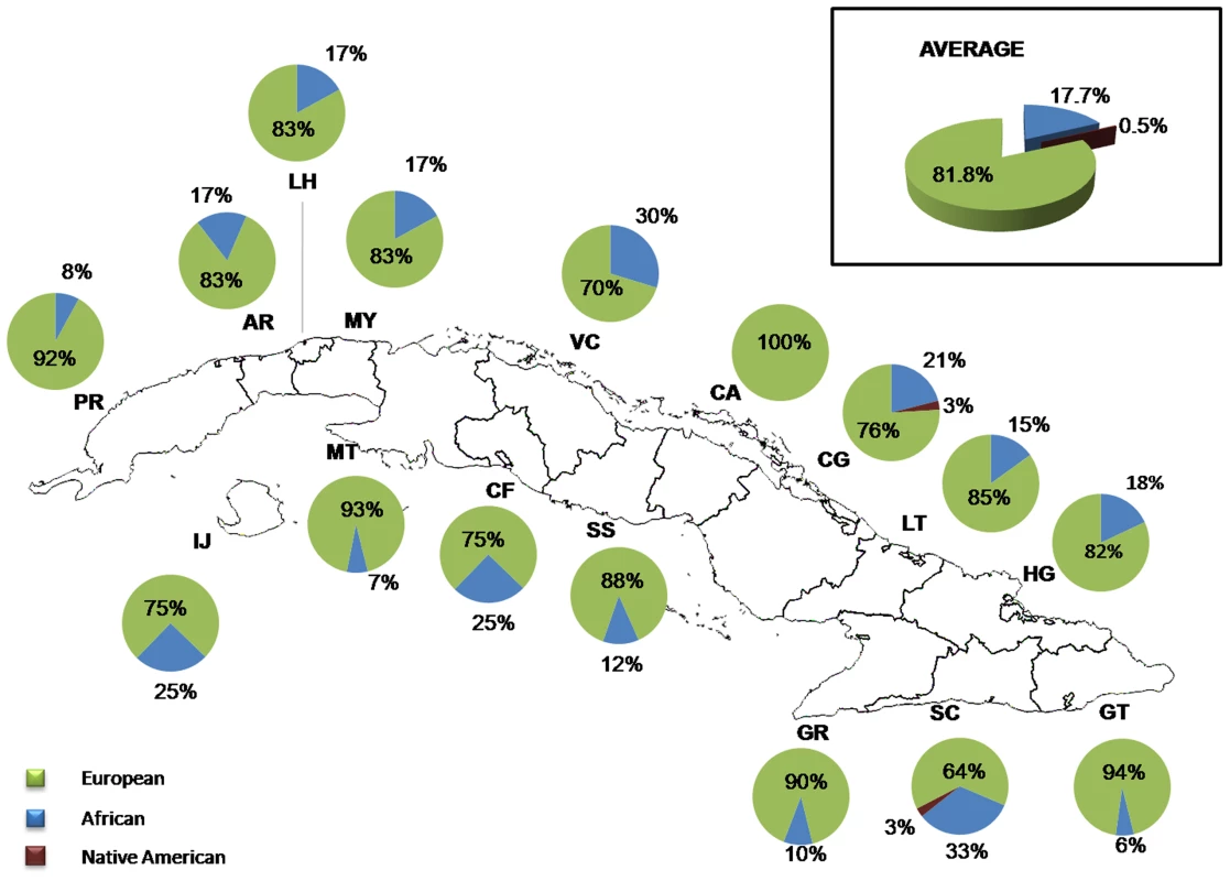 Distribution of ancestral contributions in the total sample and stratified by province as inferred from Y-chromosome markers.
