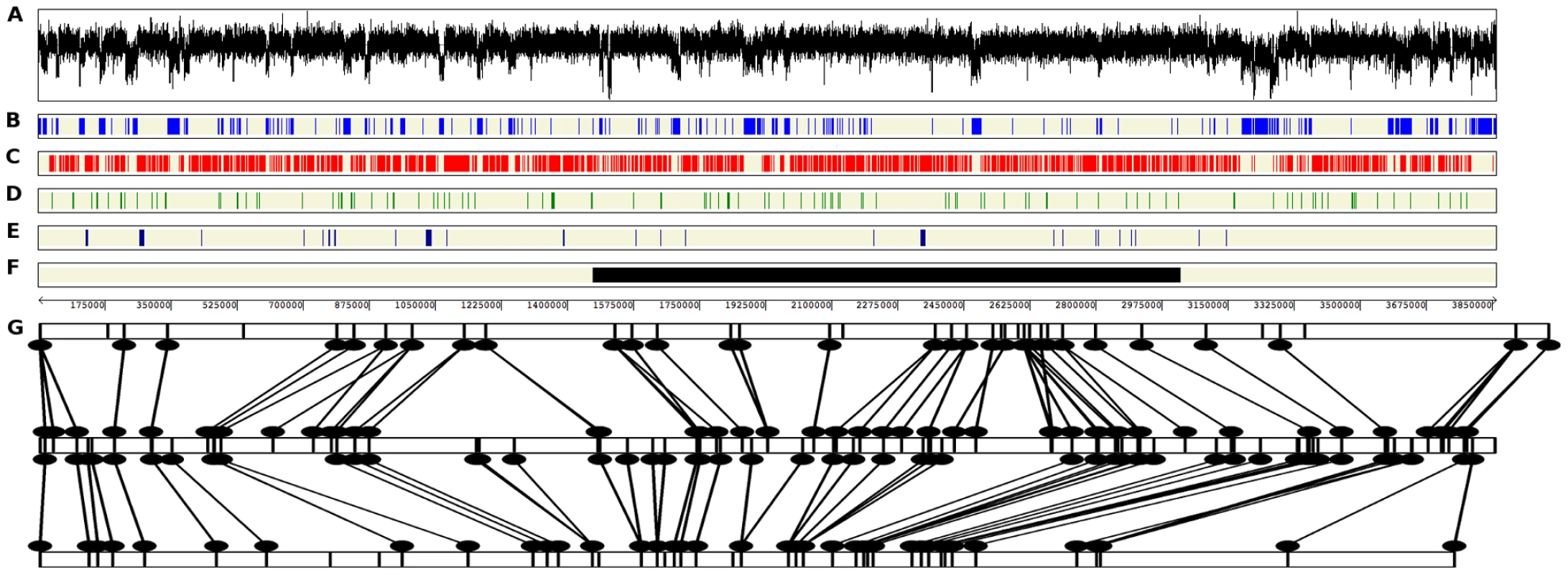 Features of chromosome 2 of <i>Mycosphaerella graminicola</i> and alignment to genetic linkage maps.