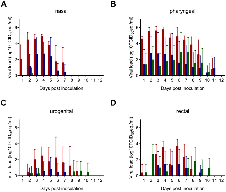 Virus shedding in Syrian hamsters inoculated with Nipah virus via different routes.