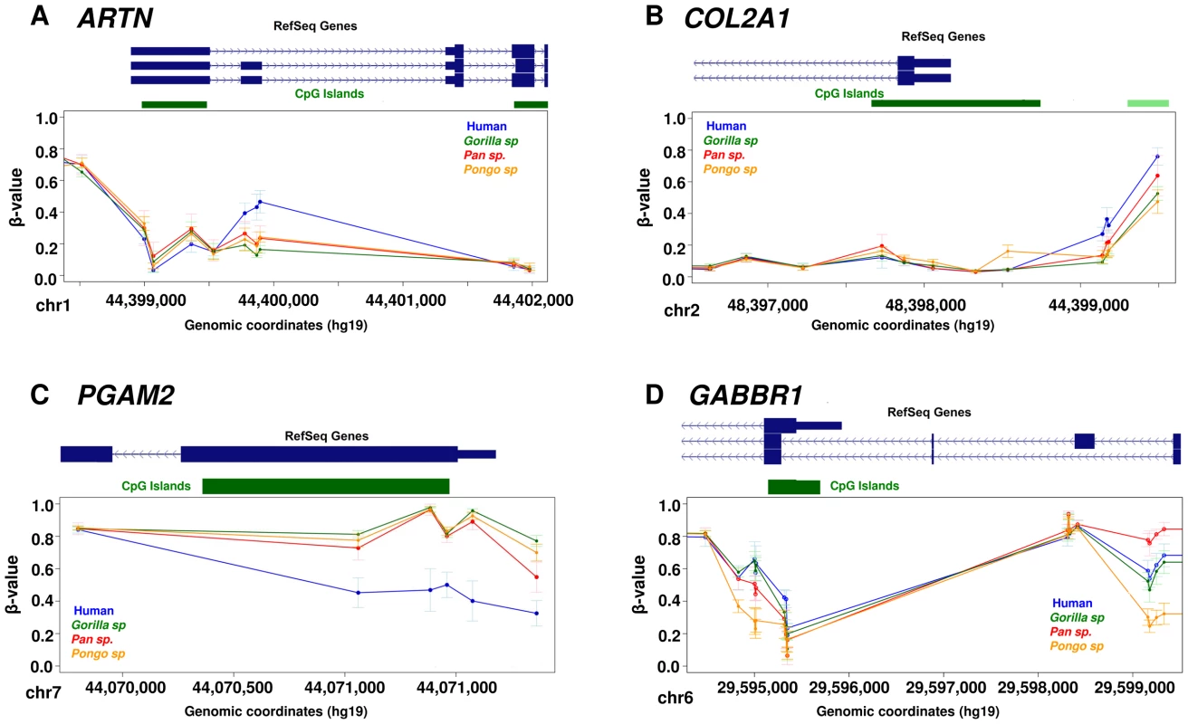 Examples of differentially methylated genes.
