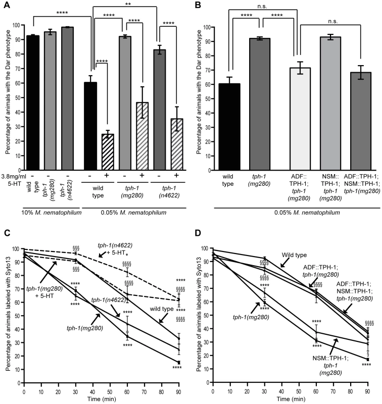 The serotonin biosynthetic enzyme TPH-1 is required in chemosensory neurons to inhibit the Dar phenotype and decrease pathogen clearance rates.