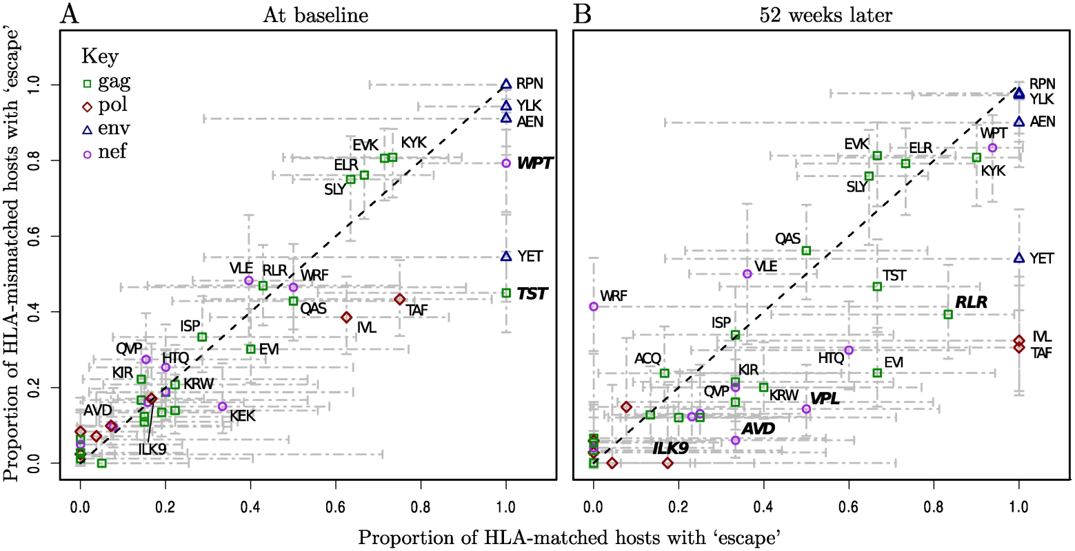 Escape prevalence in HLA-matched and-mismatched hosts.