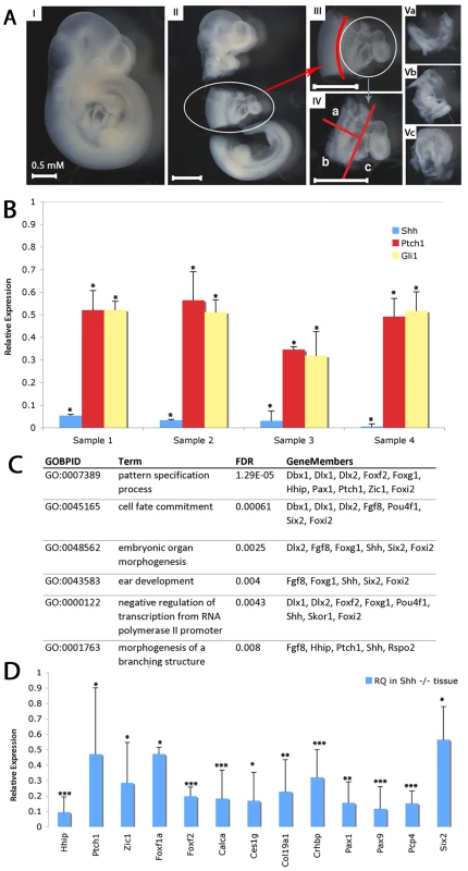 Transcriptional profiling of SHF from <i>shh<sup>−/−</sup></i> embryos.