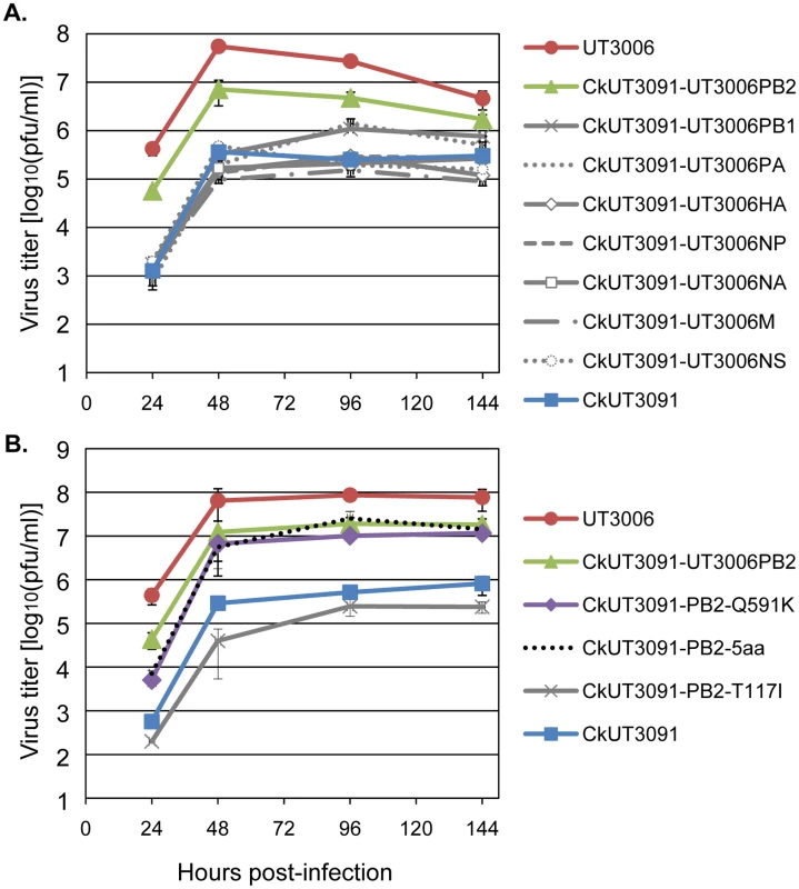Amino acid PB2-591 is important for H5N1 virus replication in mammalian cells.