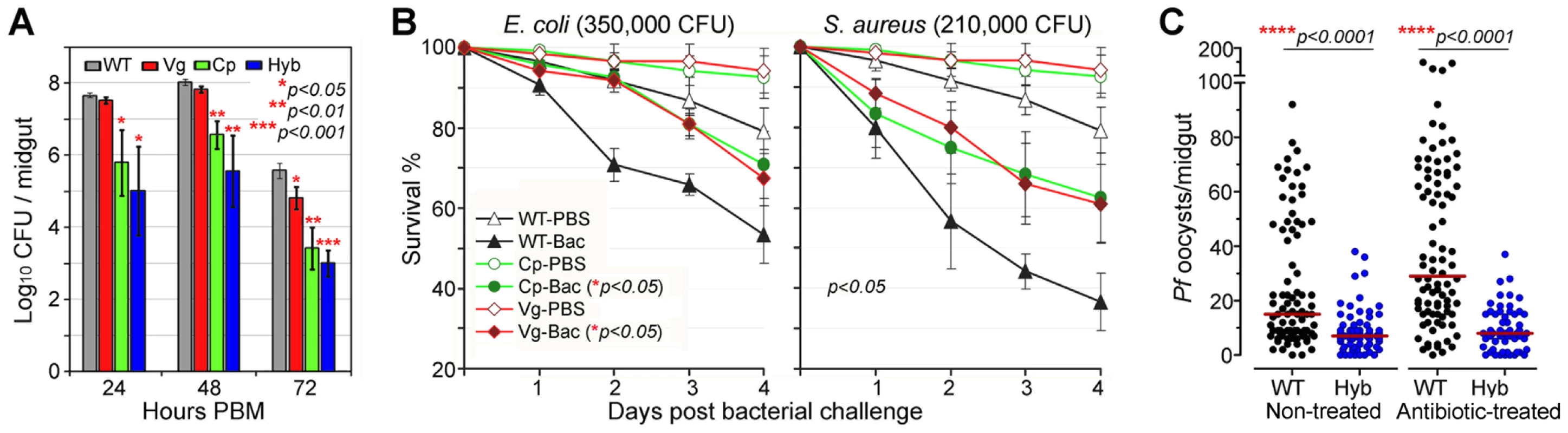 Antibacterial resistance of immune-enhanced transgenic mosquitoes.