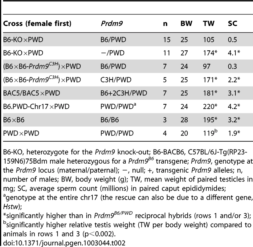 Effects of <i>Prdm9</i> alleles and dosage on reciprocal hybrids.