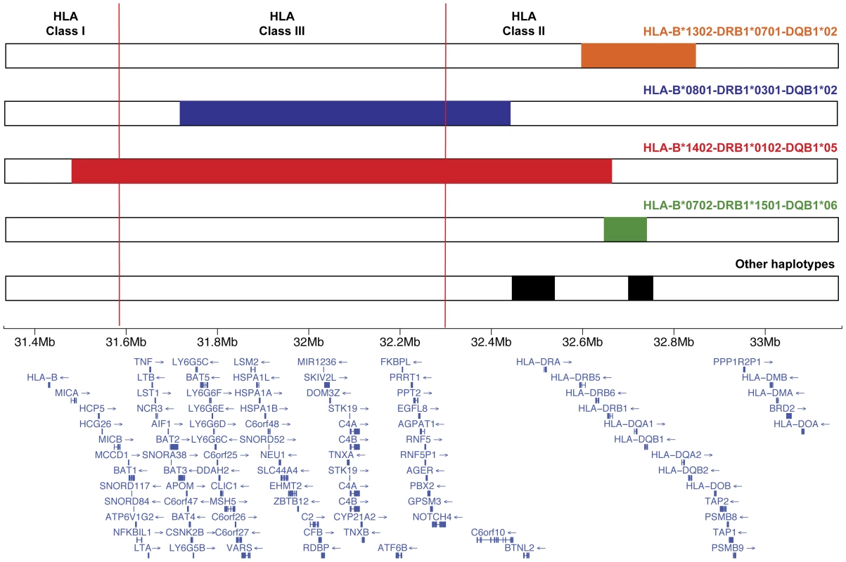 Summary of most significant independent association signals in the HLA locus.