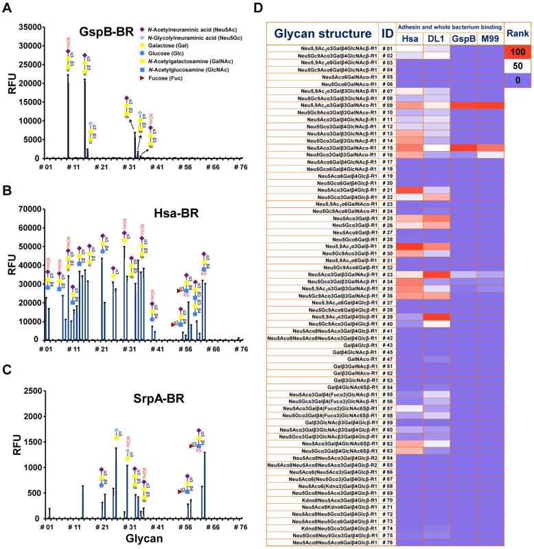 Sialoglycan microarray analysis of binding specificities of adhesin-BRs and corresponding whole bacteria.