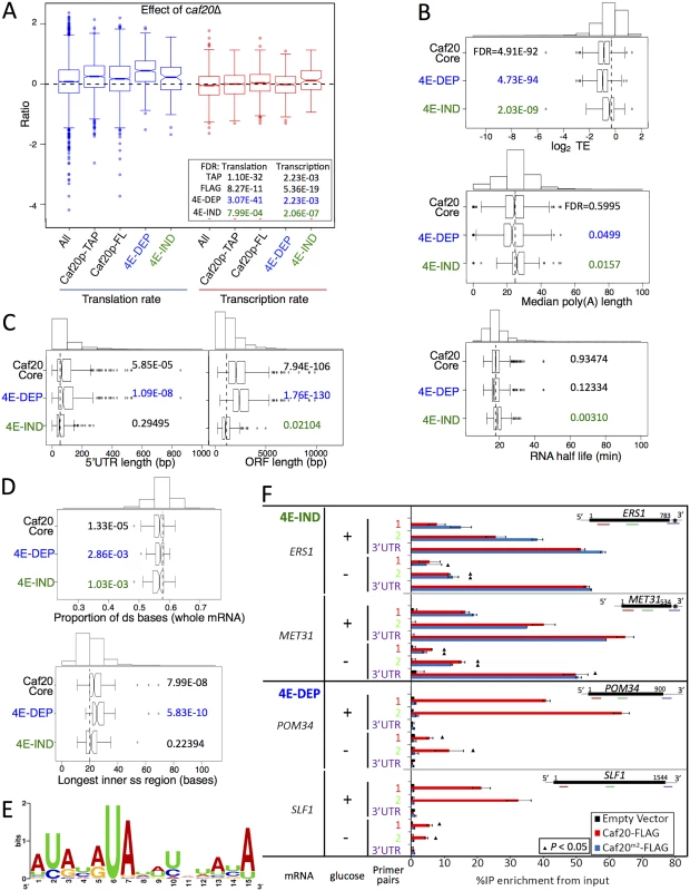 Features of Caf20p 4E-DEP and 4E-IND core bound mRNAs.
