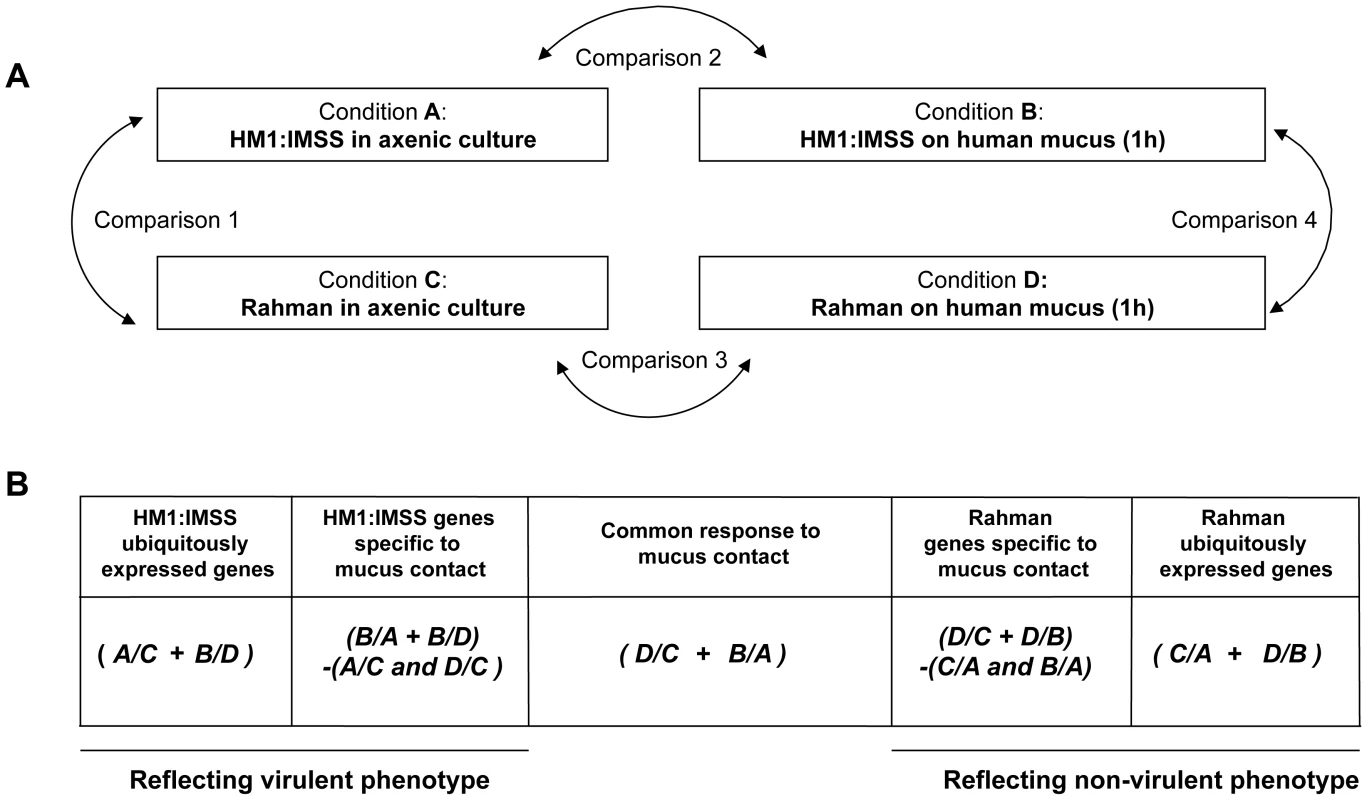 Experimental design and strategy for microarray data analysis.