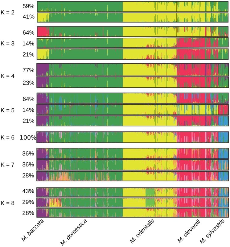 Proportions of ancestry of <i>Malus</i> genotypes from five species (<i>N</i> = 770) from <i>K</i> = 2 to <i>K</i> = 8 ancestral genepools (“clusters”) inferred with the STRUCTURE program.