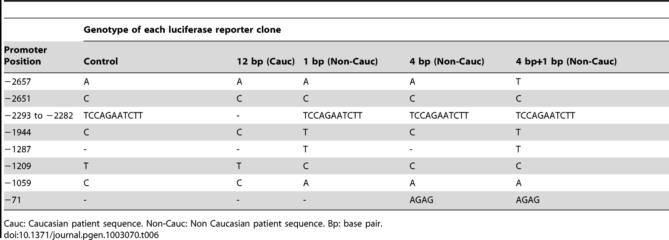 Sequences of BEEC patients and controls sub-cloned into the pGL3 luciferase vector.