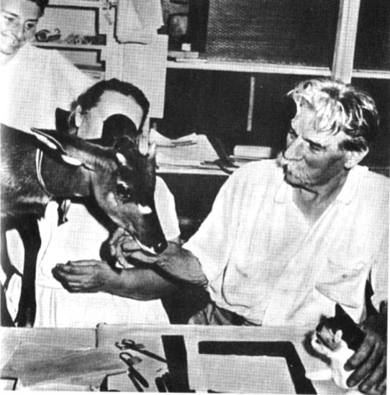 Albert Schweitzer s antilopou
