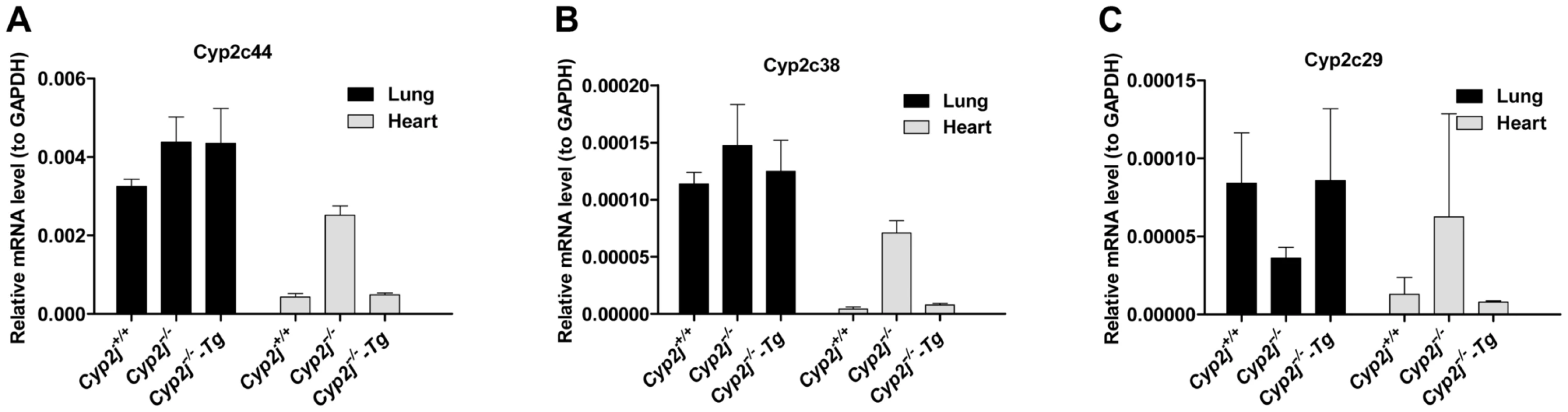 Gene expression by quantitative RT-PCR.