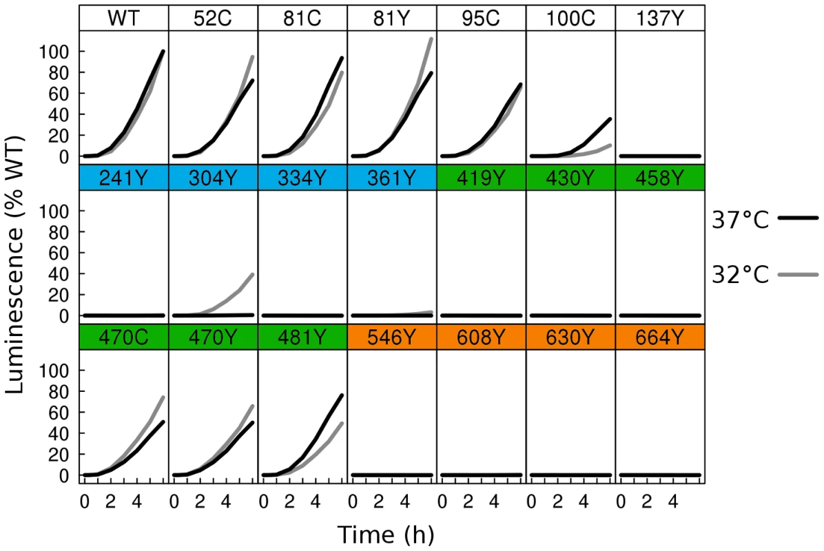 Fusion activity by dual split luciferase assay.