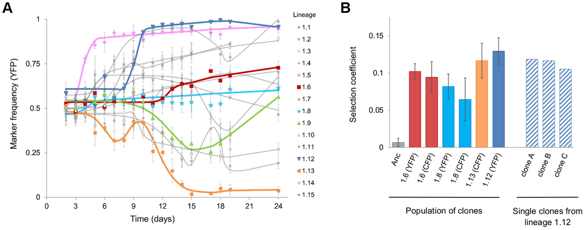 Evidence for rapid adaptation and CI <i>in vivo</i>.