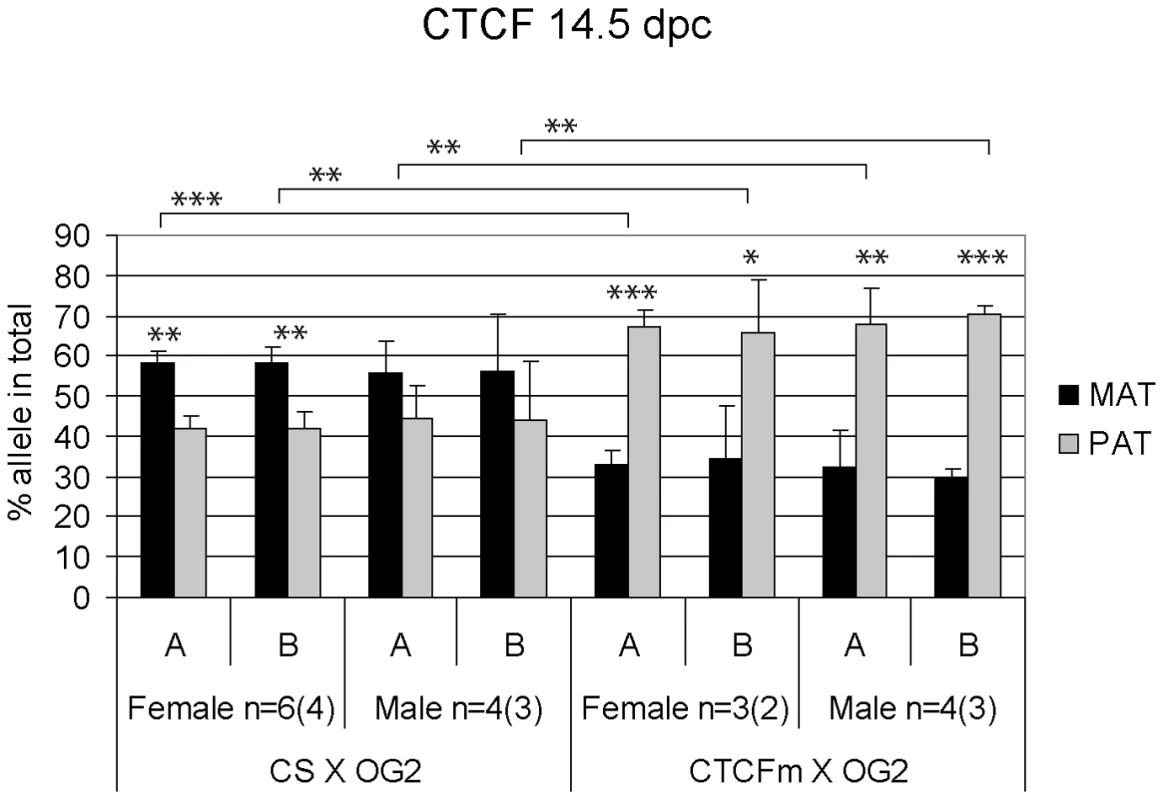 Allele-specific bias in CTCF binding chromatin at the <i>H19/Igf2</i> ICR in 14.5 dpc fetal germ cells.