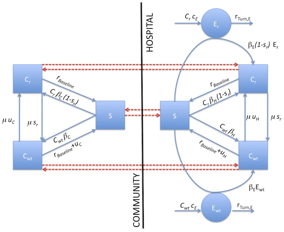 Flow chart of compartmental model in the simplest case (only one hospital and one community).
