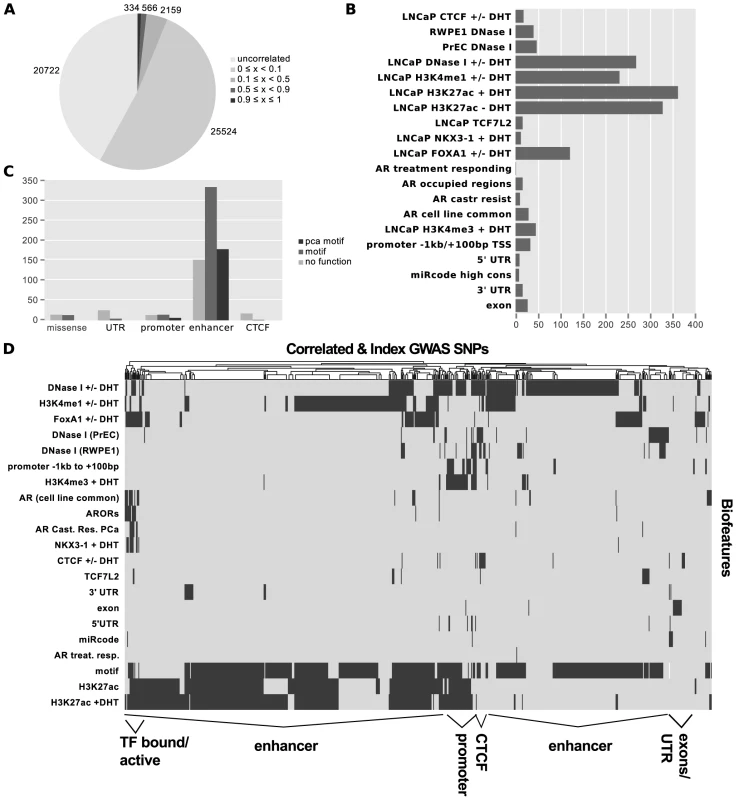 Results of <i>Funci{SNP}</i> analysis of GWAS correlated SNPs.