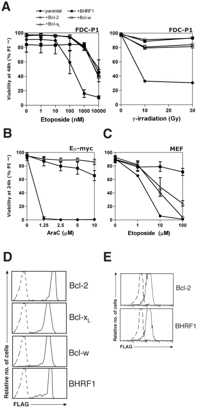 BHRF1 protects cells from diverse apoptotic stimuli.