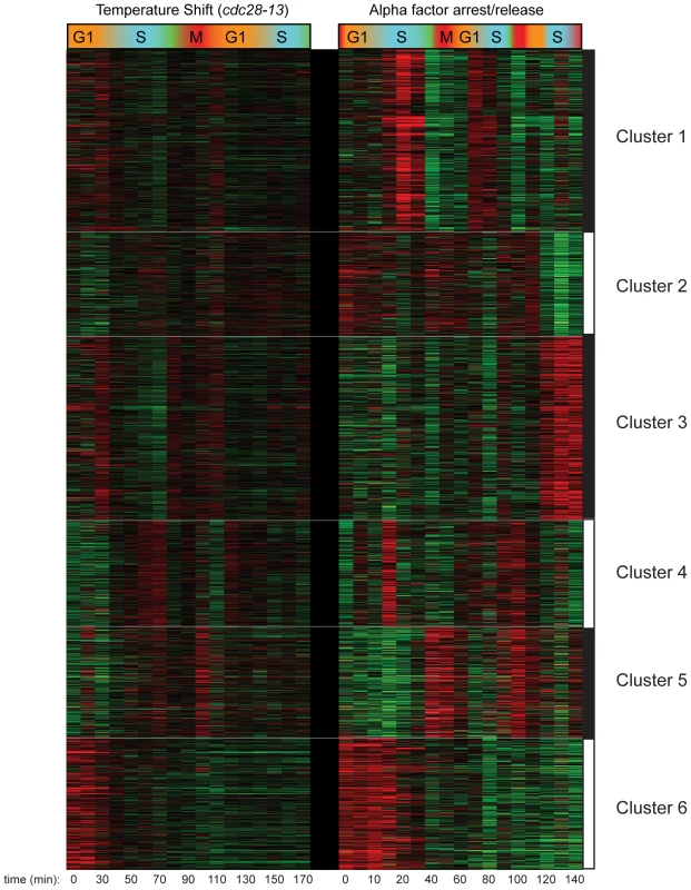 Clustering of CCTS and CCA H3K4me3 patterns.