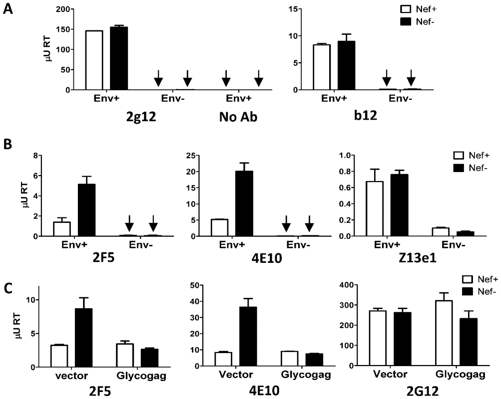 Nef and MoMLV Glycogag specifically alter the capture efficiency of HIV-1 by 2F5 and 4E10.