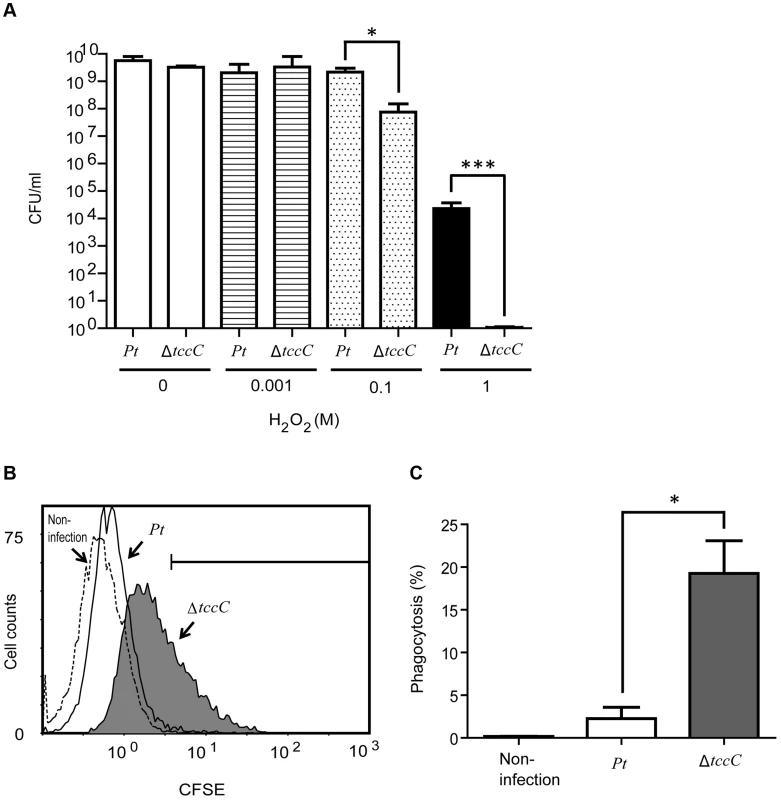 TccC contributes to increases in oxidant stress defense and inhibits phagocytosis.