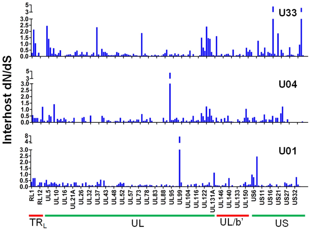 A majority of ORFs appeared to be under negative selection based on interhost dN/dS values.