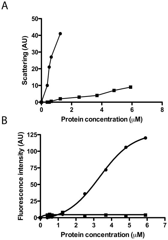 Liposome agglutination and leakage activity.