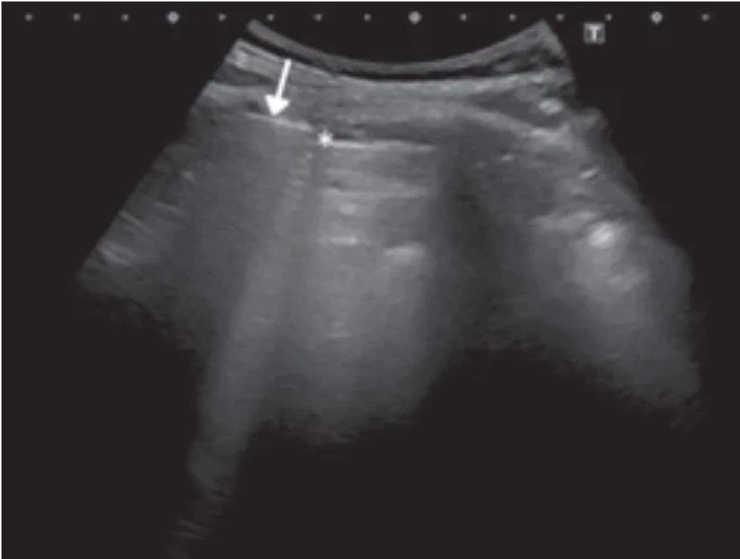  / Fig. 8.