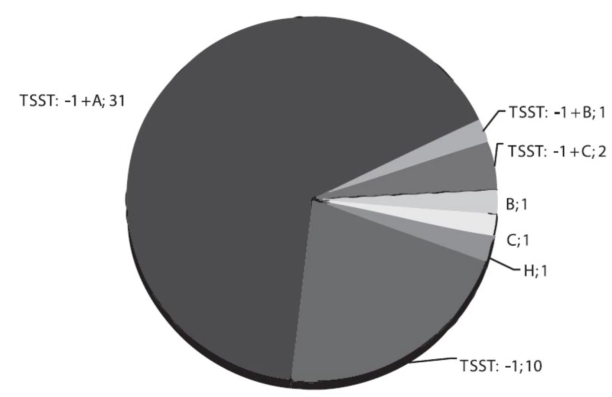 Rozdělení 47 kmenů S. aureus, původců menstruálních případů syndromu toxického šoku podle produkce TSST-1 a enterotoxinů B, C, a H
Fig. 2. Distribution of 47 S. aureus strains, causative agents of menstrual toxic shock syndrome, from 1997–2011 by production of TSST-1 and enterotoxins B, C, and H
