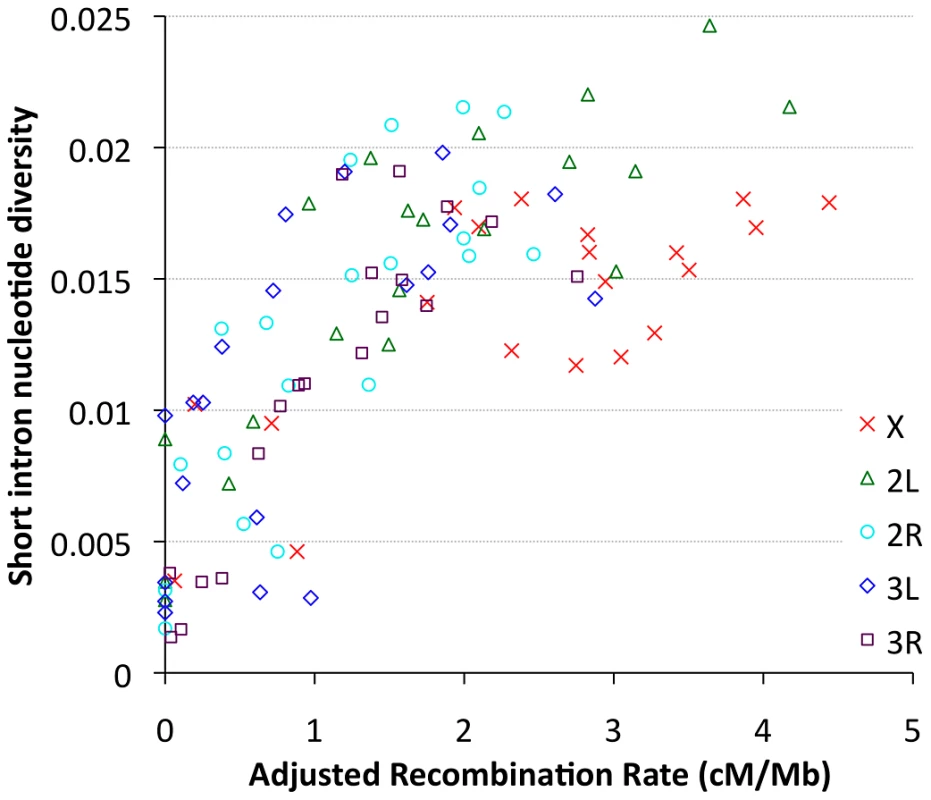 Nucleotide diversity versus recombination rate for short intron sites (bp 8–30 in <65 bp introns) is plotted by cytological band.
