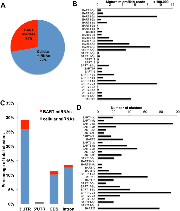 PAR-CLIP analysis of the NPC cell line C666 identifies 792 putative miR-BART 3’UTR interaction sites.