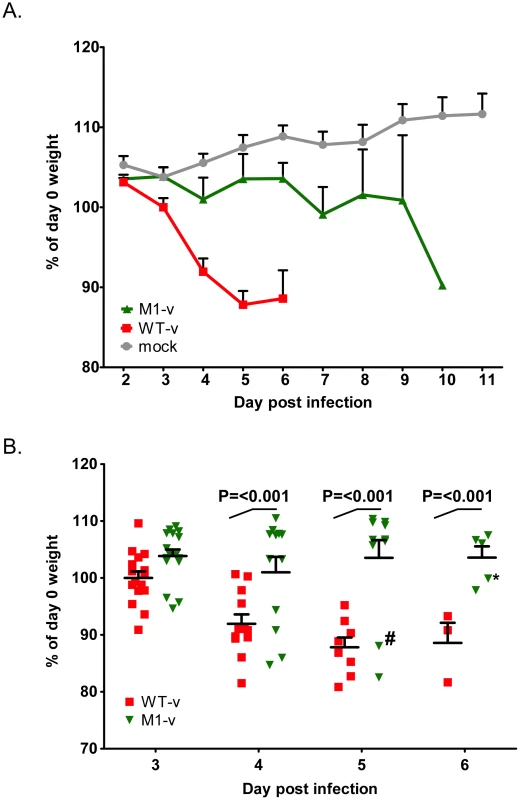 VF1 plays a role in viral virulence.